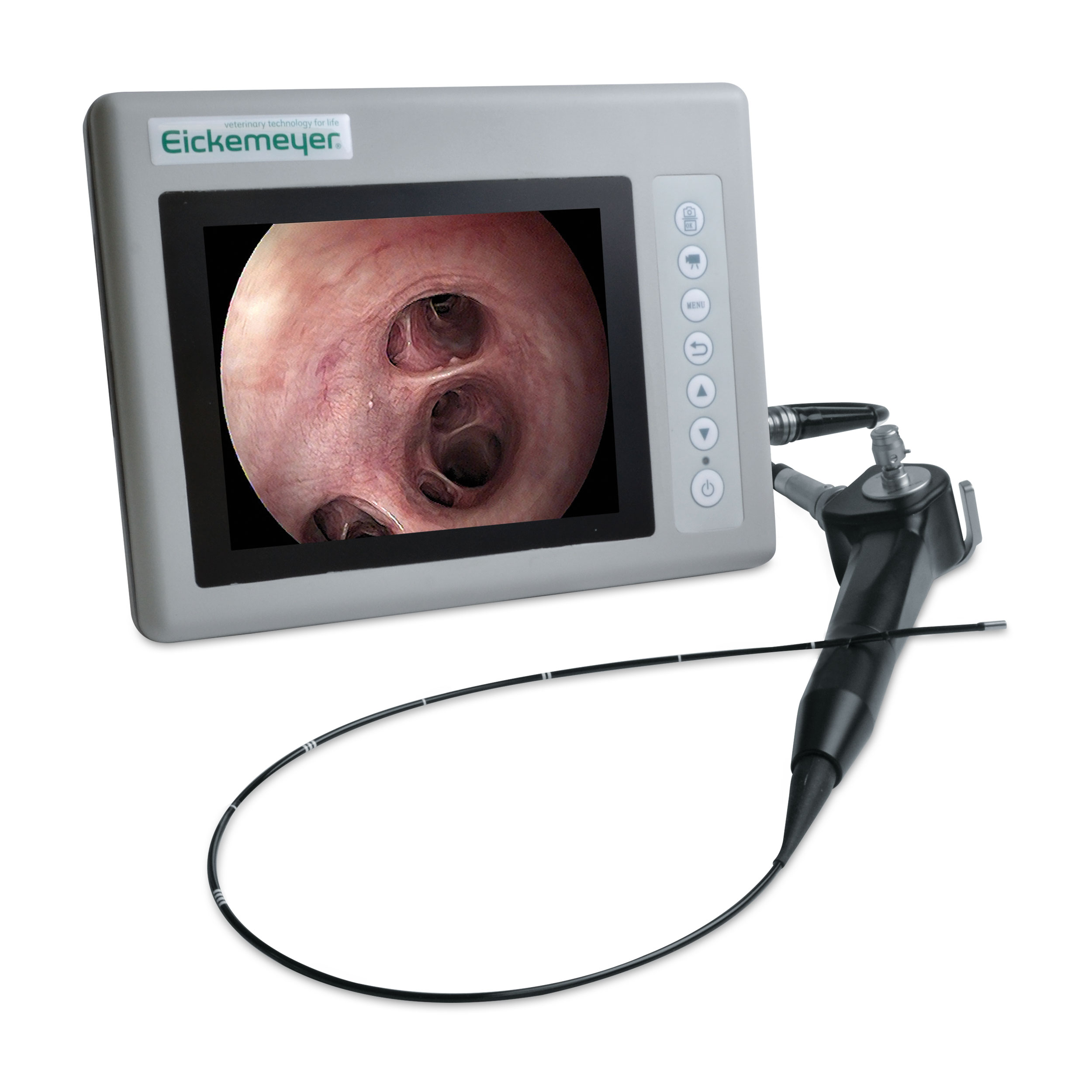 Videoendoskop Eickview LED 60